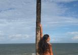 Amarela